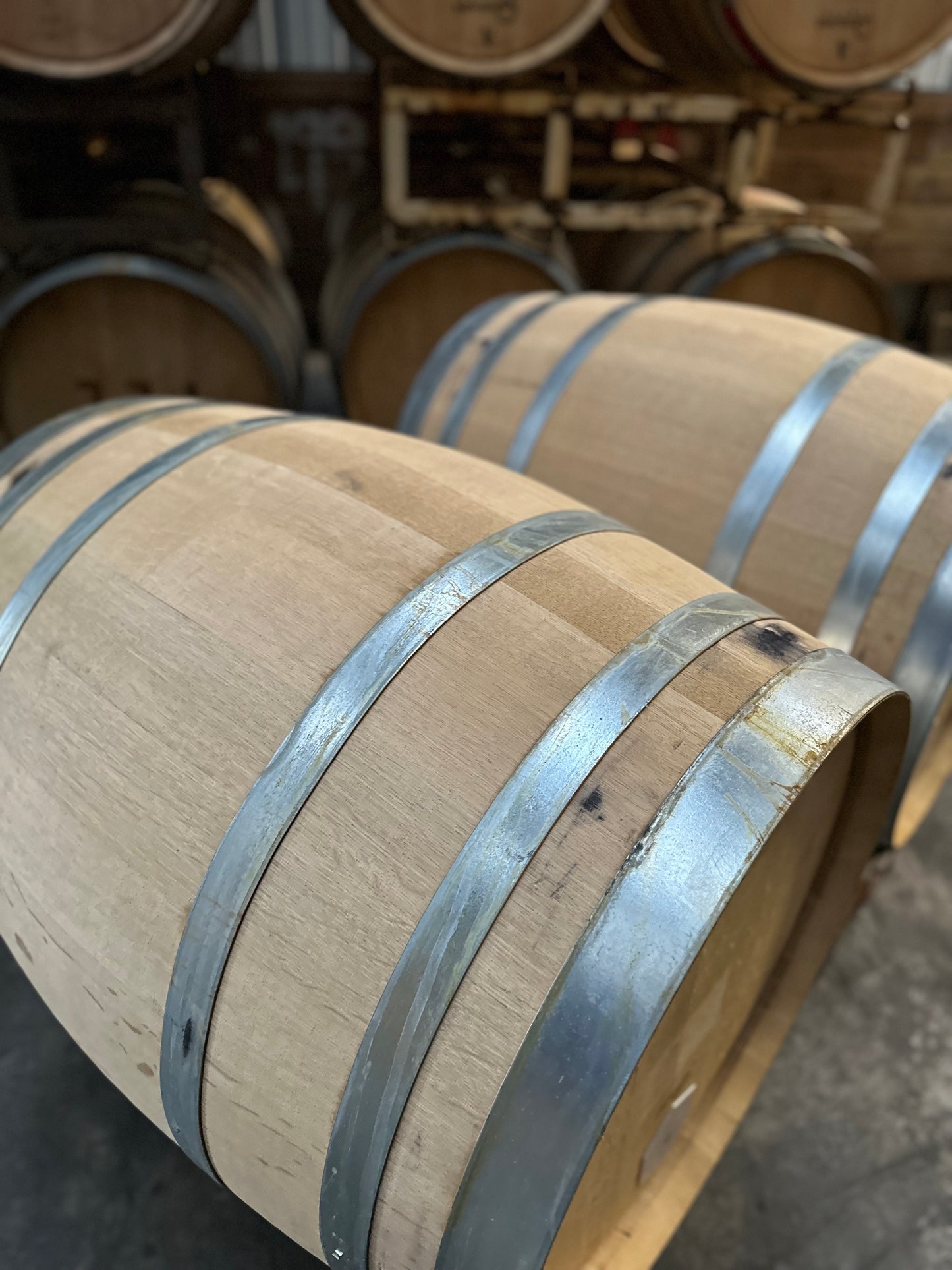 2021 French Oak Whites