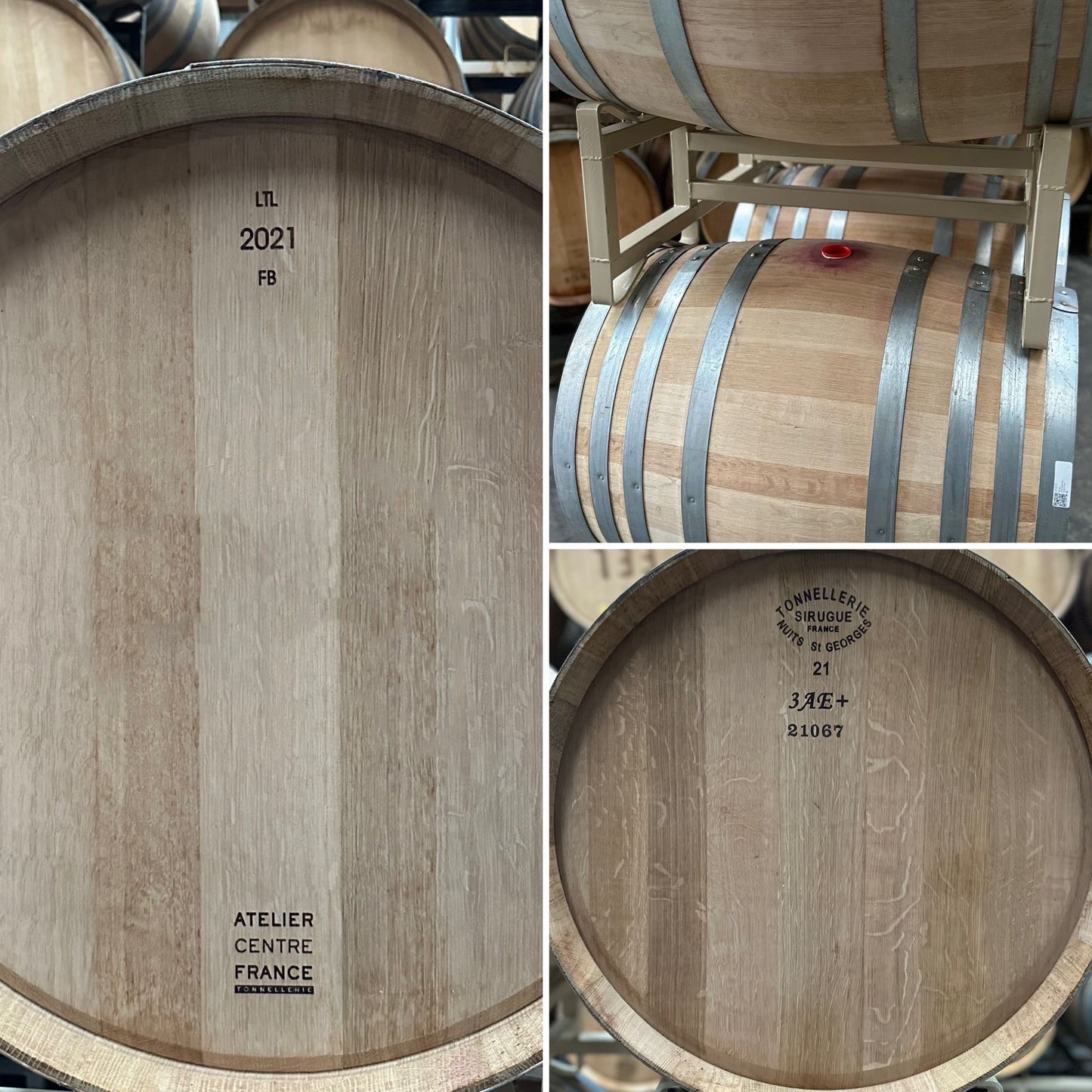 2021 French Oak Reds